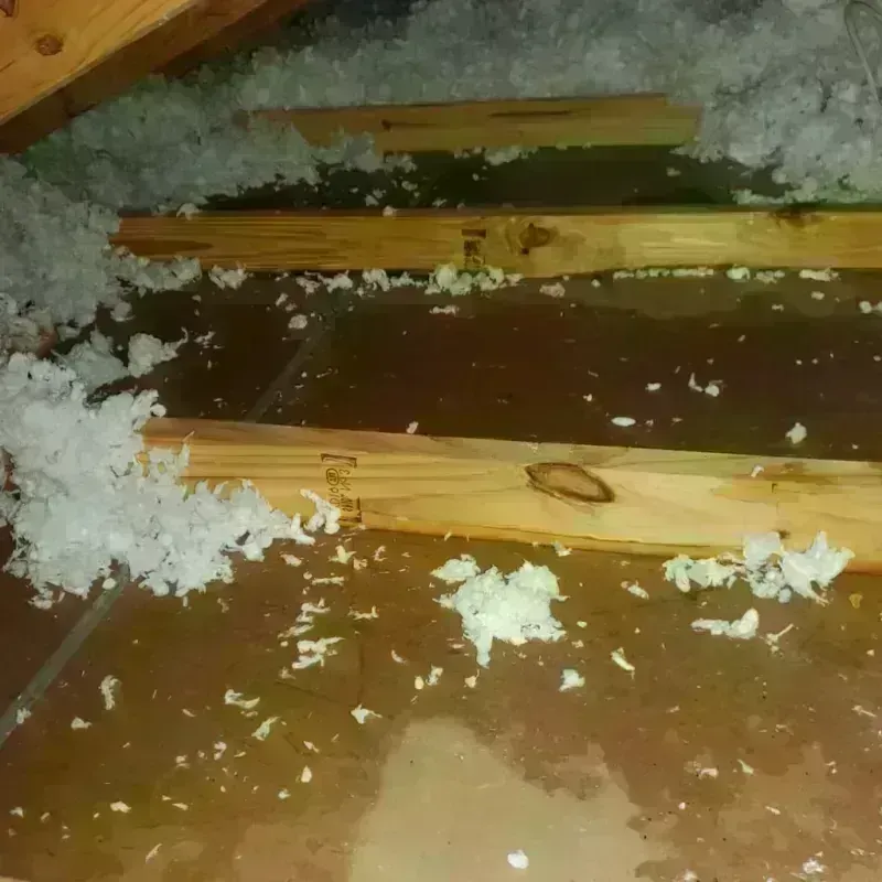 Attic Water Damage in Winfield, WV